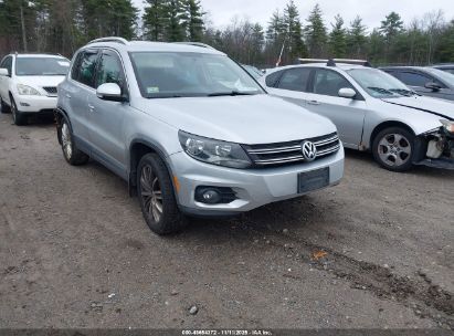 WVGBV3AX1DW610219 VOLKSWAGEN TIGUAN Photo 1