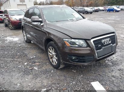 WA1LFAFP3BA082948 AUDI Q5 Photo 1