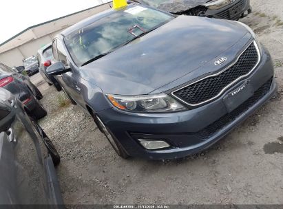 KNAGM4A72F5589258 KIA OPTIMA Photo 1