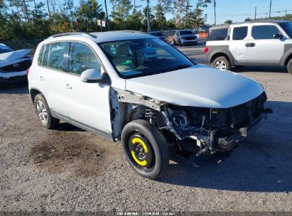 WVGAV7AX5HK019617 VOLKSWAGEN TIGUAN Photo 1