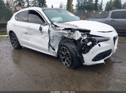 ZASPAKBN6M7D15034 ALFA ROMEO STELVIO Photo 1