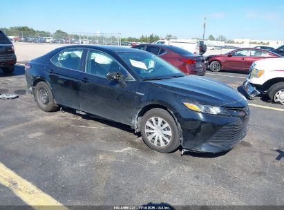 4T1C31AK7LU527276 TOYOTA CAMRY Photo 1