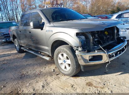1FTEW1E59LKF31642 FORD F-150 Photo 1
