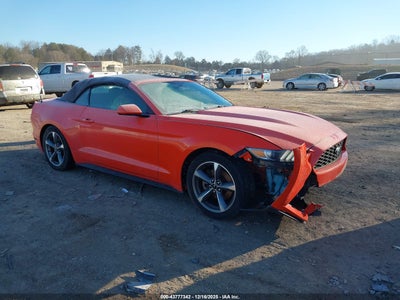 1FATP8EM8G5281938 FORD MUSTANG Photo 1