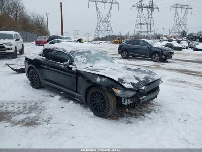 1FATP8UH1G5331146 FORD MUSTANG Photo 1