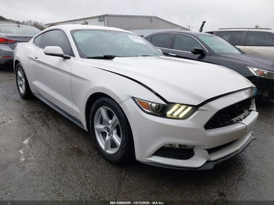 1FA6P8AM6H5238364 FORD MUSTANG Photo 1