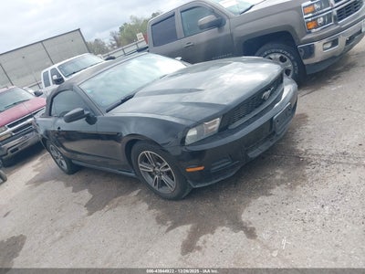 1ZVBP8EN0A5130689 FORD MUSTANG Photo 1