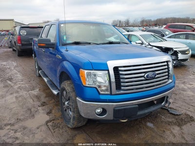 1FTFW1EF2CFB82667 2012 Ford F-150 5.0 Xlt blue