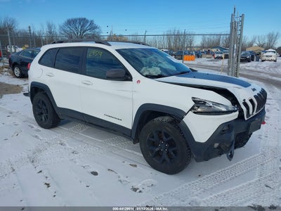 1C4PJMBS8GW357953 JEEP CHEROKEE Photo 1