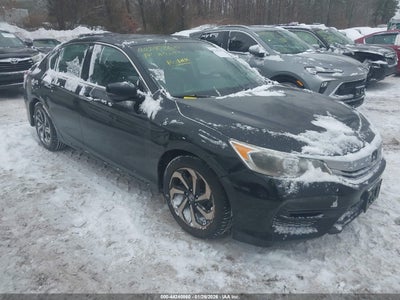 HONDA ACCORD