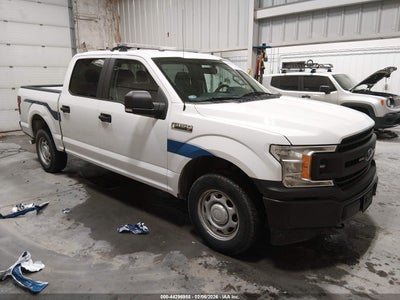 1FTEW1E52KKE23443 FORD F-150 Photo 1