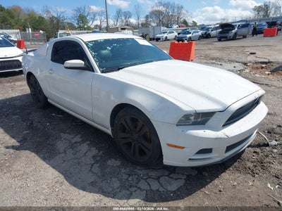 1ZVBP8AM2E5299969 FORD MUSTANG Photo 1