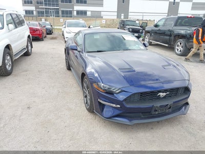 FORD MUSTANG