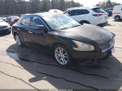 IN4AA5AP2BC869202 NISSAN MAXIMA Photo 1