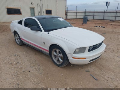 1ZVHT80N795131699 FORD MUSTANG Photo 1