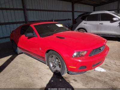 1ZVBP8AM9C5210976 FORD MUSTANG Photo 1