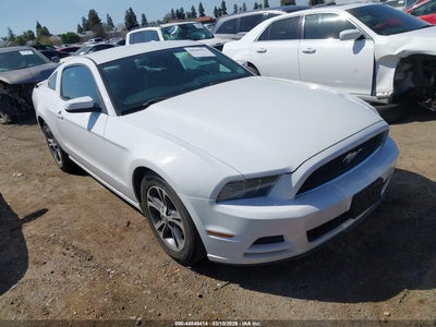 1ZVBP8AM6E5300394 FORD MUSTANG Photo 1