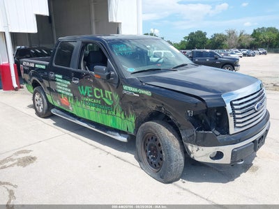 2010 Ford F-150