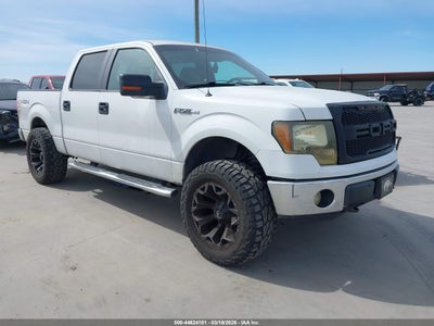 1FTFW1EF9BKD41481 FORD F-150 Photo 1