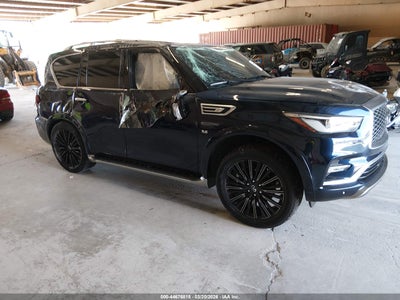 INFINITI QX80