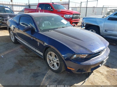 FORD MUSTANG