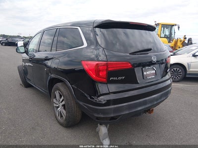 HONDA PILOT