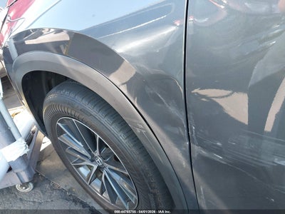 LEXUS NX 250