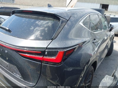 LEXUS NX 250