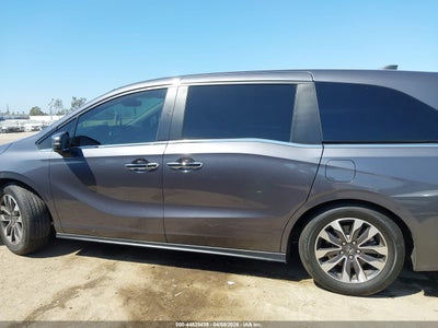 HONDA ODYSSEY