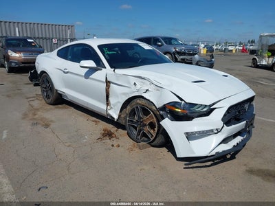 1FA6P8TH4L5139213 Ford Mustang 2020