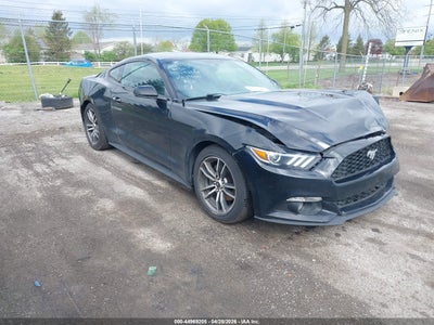 FORD MUSTANG
