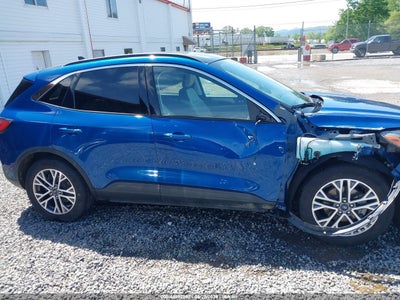 FORD ESCAPE