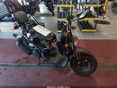 2024 Honda Nps50