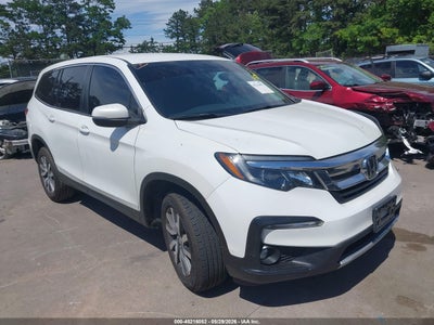 HONDA PILOT