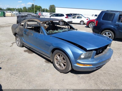 1ZVHT80N565144561 FORD MUSTANG Photo 1