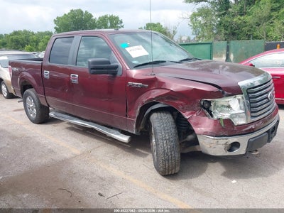 2010 Ford F-150