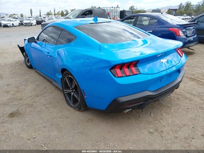 FORD MUSTANG