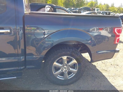 2019 FORD F-150 XLT