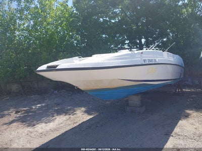 1999 Cobia 24'