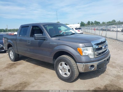 1FTFW1EF8DKF80975 FORD F-150 Photo 1
