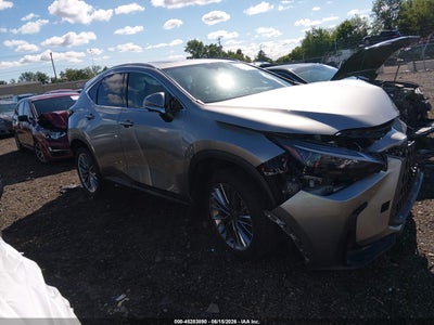 LEXUS NX 350H