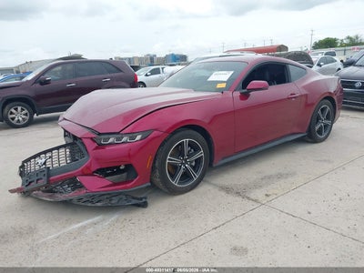 FORD MUSTANG