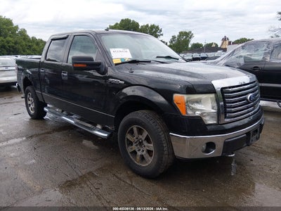 2010 Ford F-150