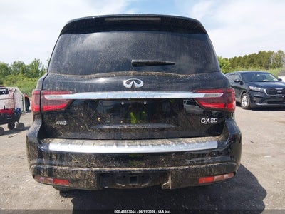 INFINITI QX80