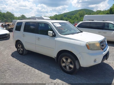 HONDA PILOT