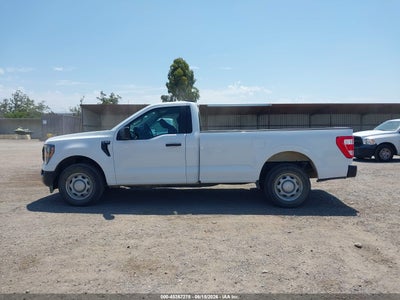 2023 FORD F-150 15