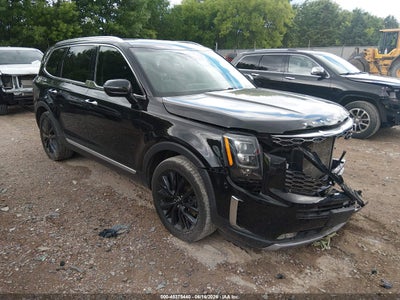 2020 Kia Telluride Sx — VIN 5XYP5DHC3LG045678 salvage auction