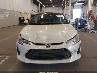 SCION TC