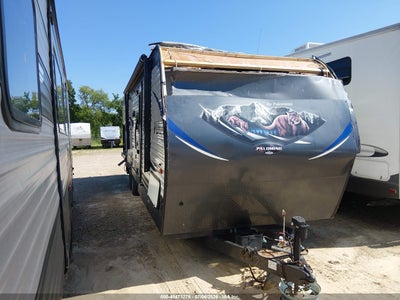 2019 Palomino Puma