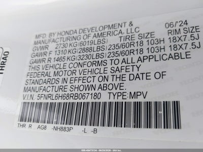 HONDA ODYSSEY